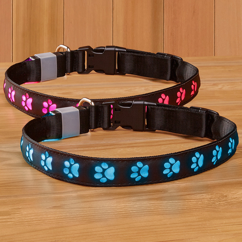 dog collars with lights for night