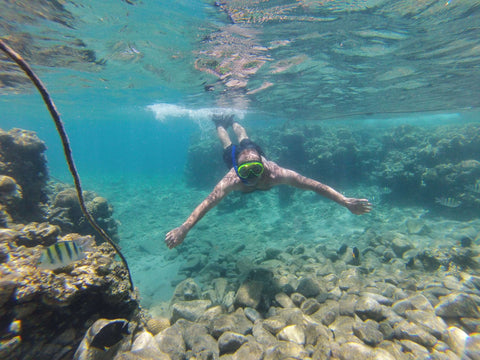 snorkeling in the ocean