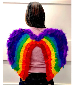 Rainbow Feather Wings