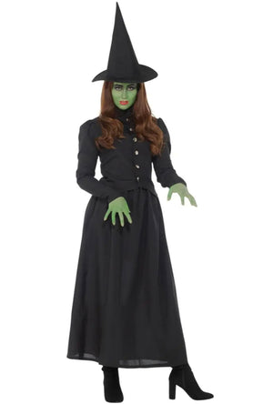 Wicked Witch Costume