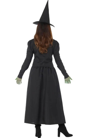 Wicked Witch Costume