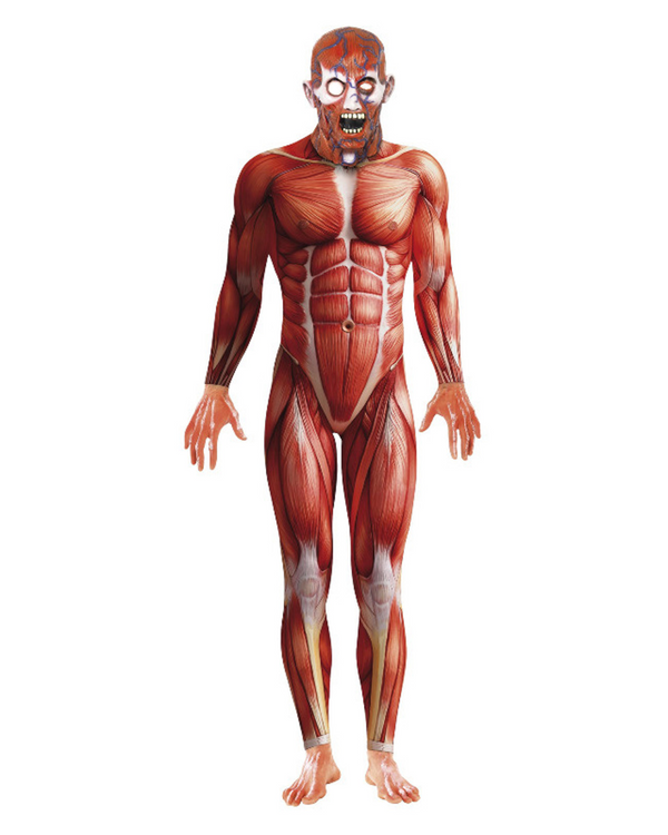 Anatomy Man Costume