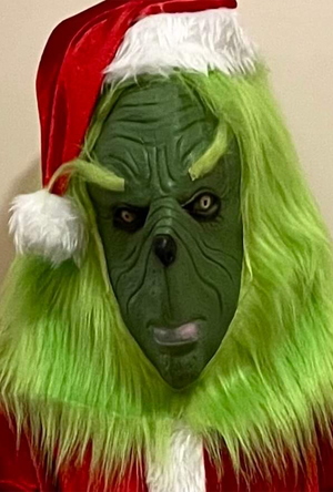 Kids Grinch Christmas Costume