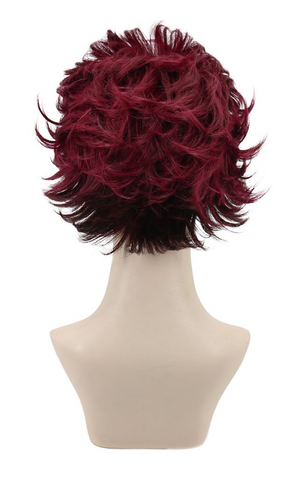 Demon Slayer Tanjiro Kamado Wig