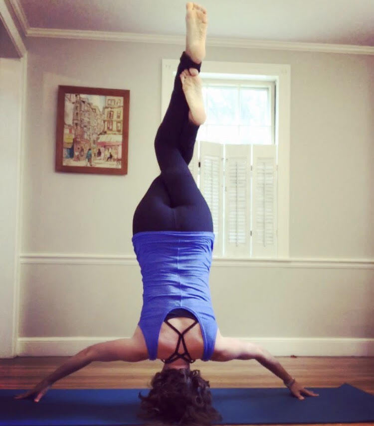 yogi instagram