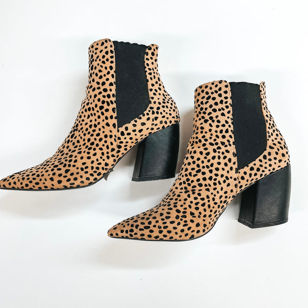 Model Shoes Size 9 | Till Closing Time Pointed Toe Booties in Leopard