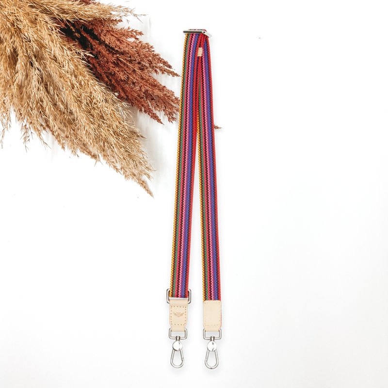 Pink striped purse strap in multicolor. This purse strap includes tan leather accents and silver hardware. this purse strap is pictured on a white background in front of tan and brown pompous grass. 