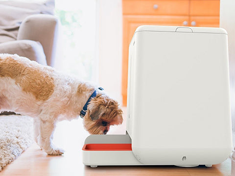 EasyFeed Automatic Pet Feeder
