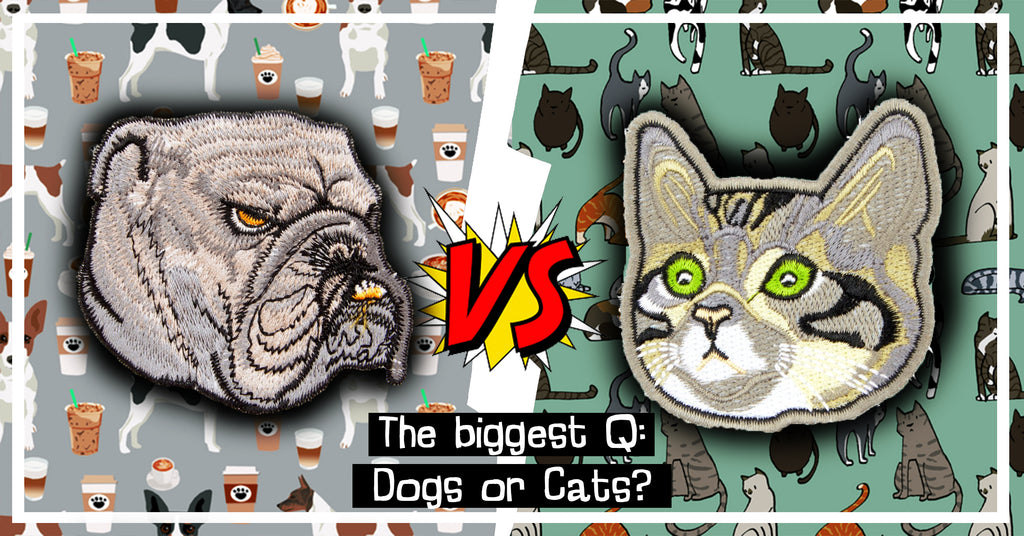 Az élet legnagyobb kérdése: kutya vagy cica?