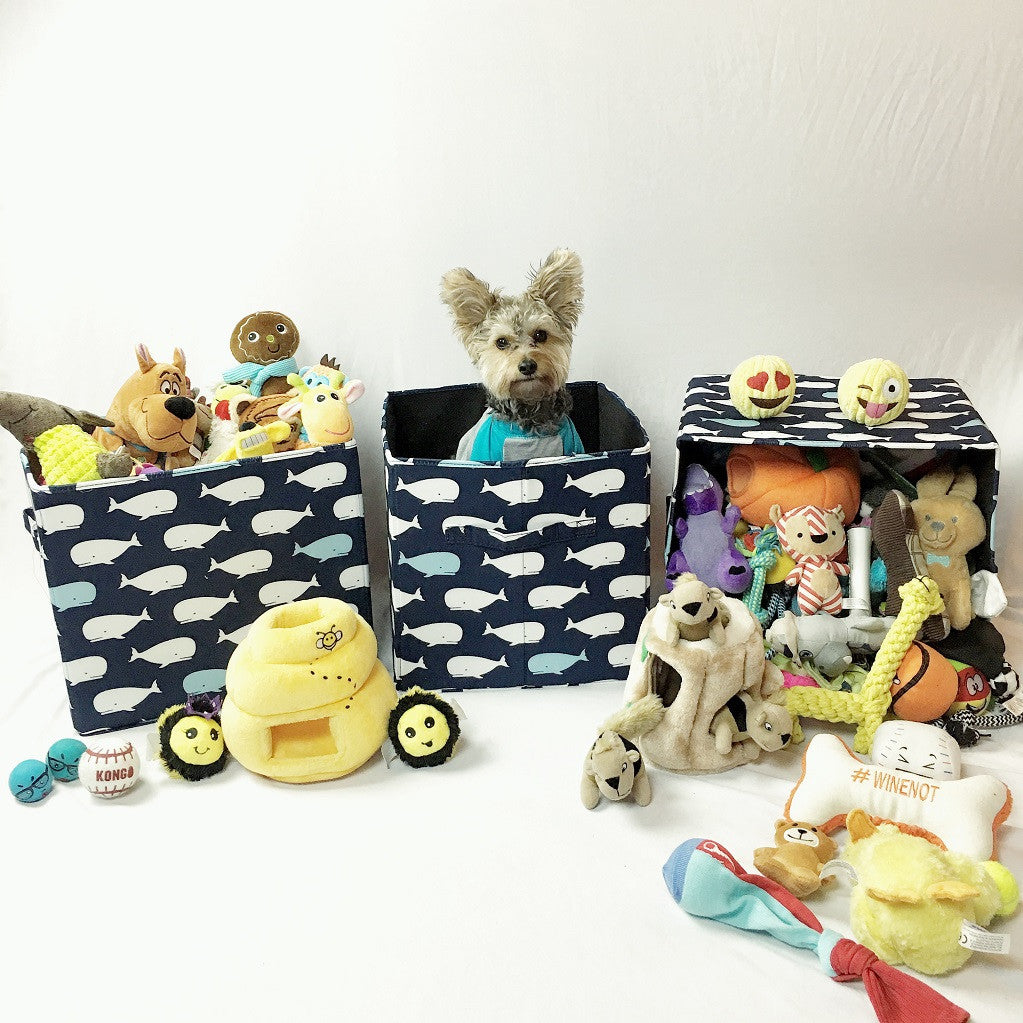 Storage boxes with dog toys, photo by Wicket Lee