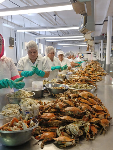 Crab Picking Graham & Rollins plant Hampton VA