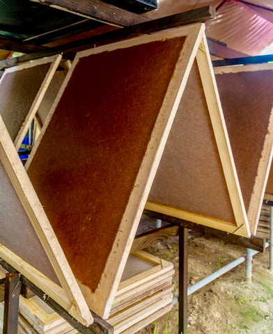 banana paper drying