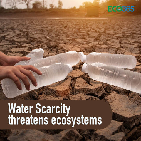 Water Scarcity threatens ecosystems