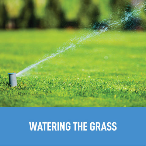 watering-the-grass