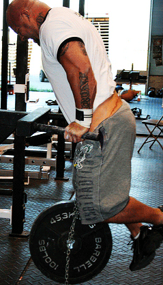 Can't Do Dips?