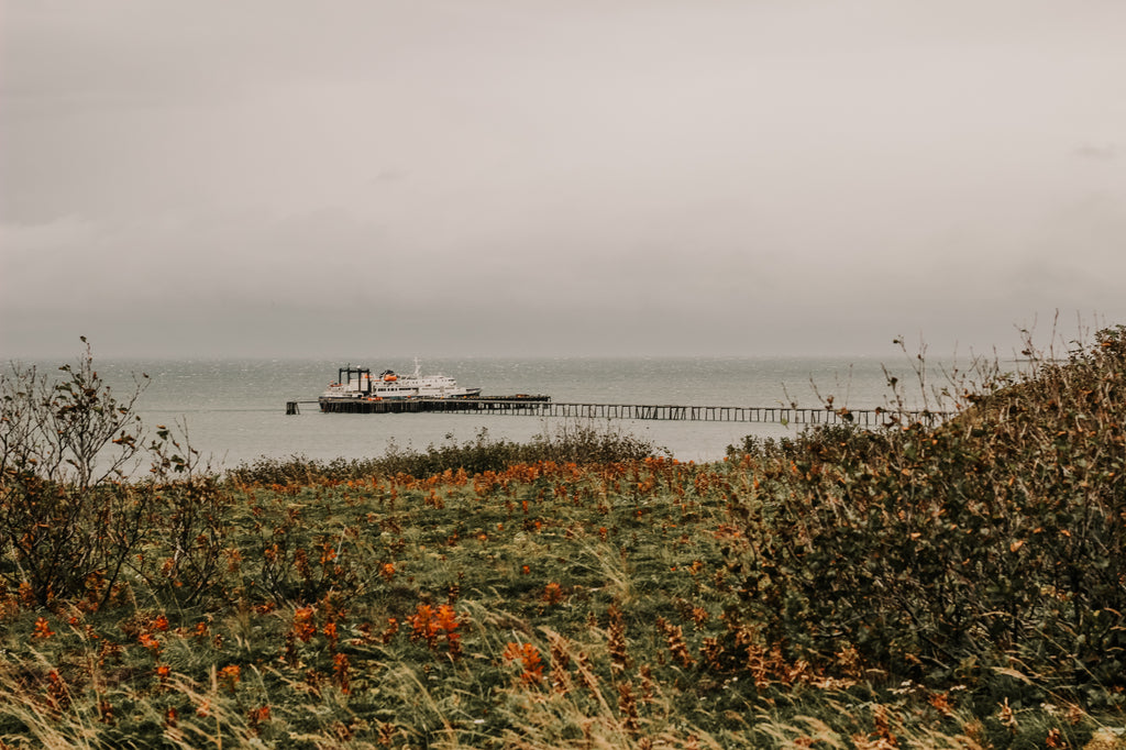 Cold Bay, Alaska by Resolute Boutique