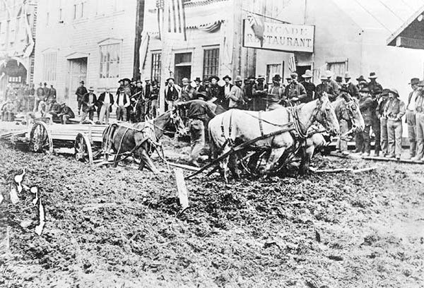 Horses in Dawson City, Horseback Riding in Juneau, Alaska