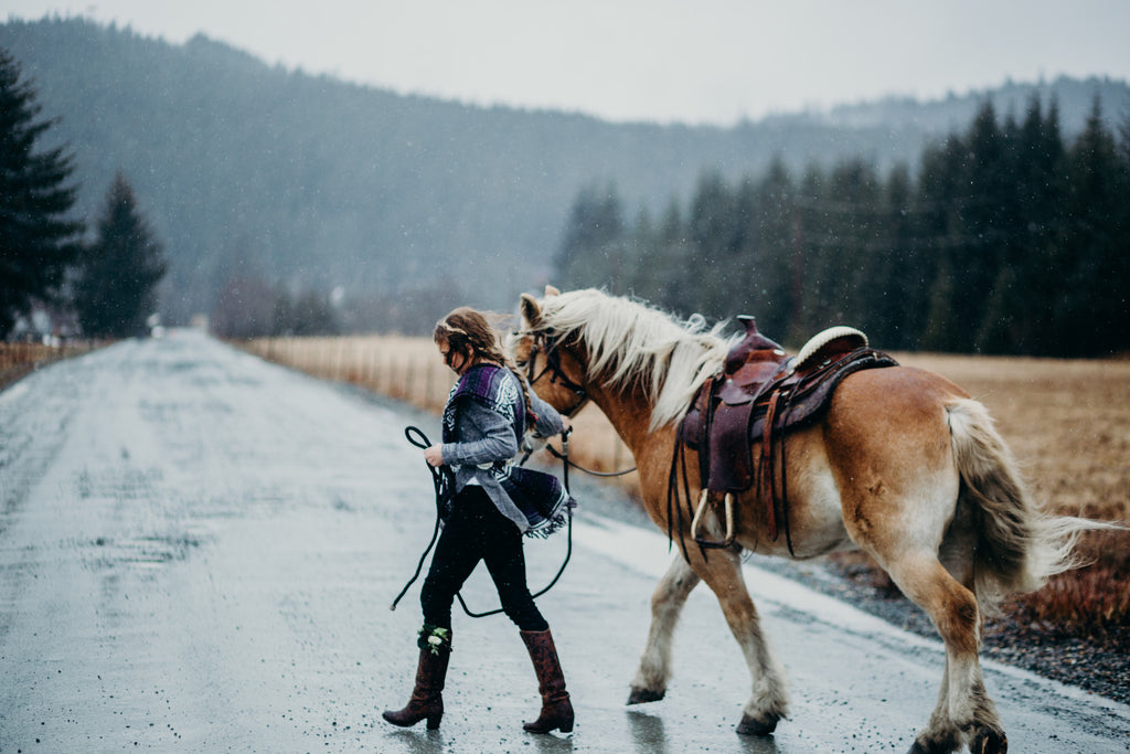 Editorial Look for Riding horses in Juneau, Alaska