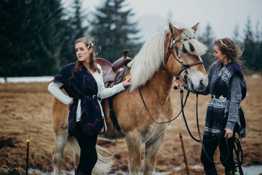 Editorial Look for Riding horses in Juneau, Alaska