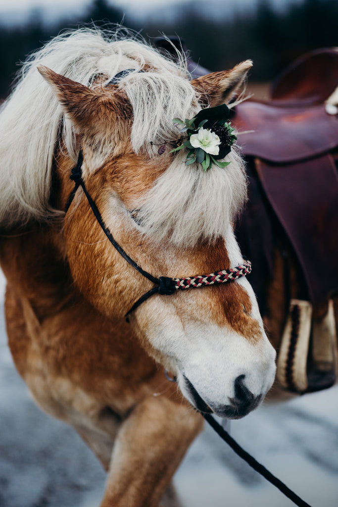 Casual Look for Riding horses in Juneau, Alaska