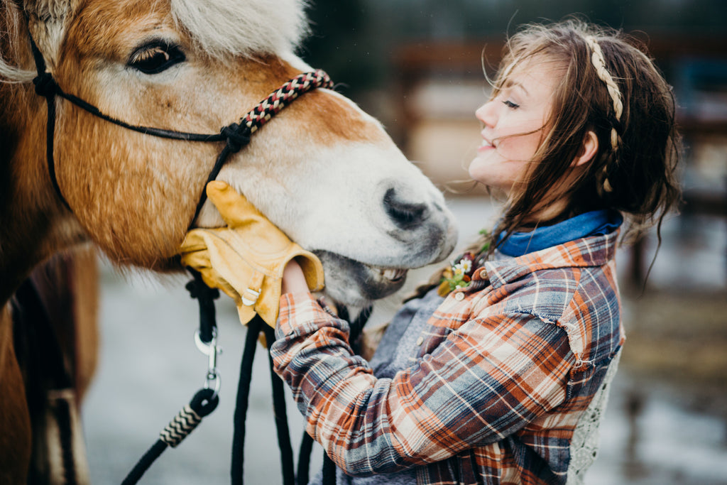 Horseback Riding in Juneau, Alaska