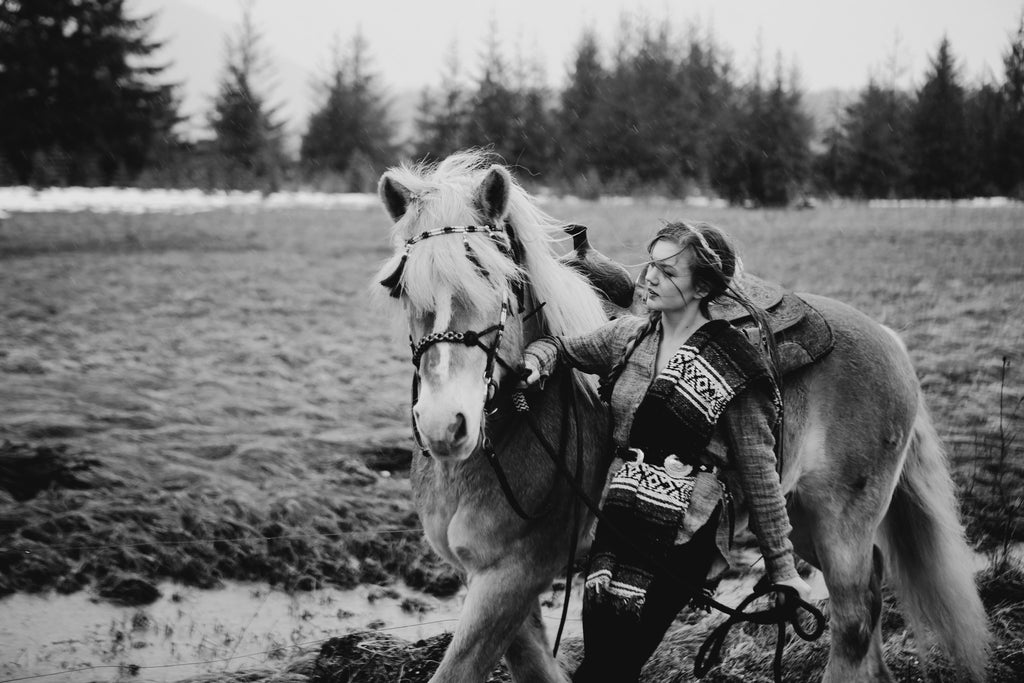 Editorial Look for Riding horses in Juneau, Alaska