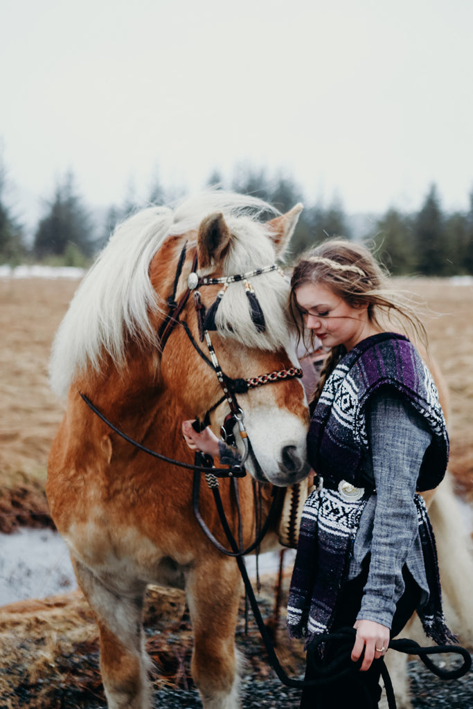 Editorial Look for Riding horses in Juneau, Alaska