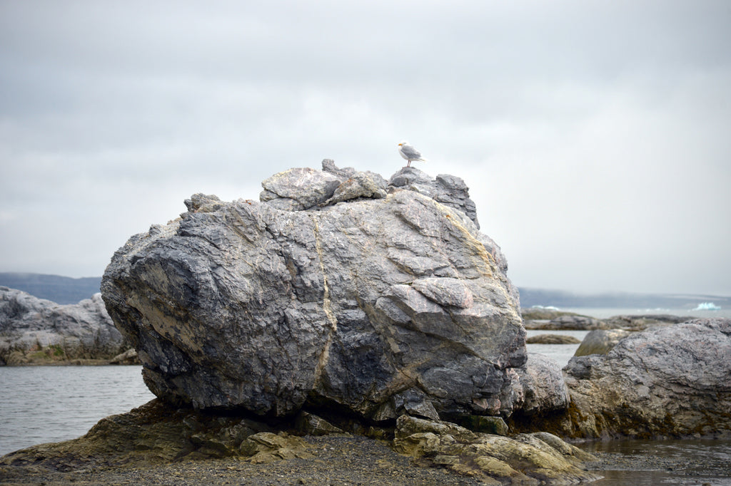 Hornsund Svalbard. Cruising up the coast of Norway part 4 for Resolute Boutique.