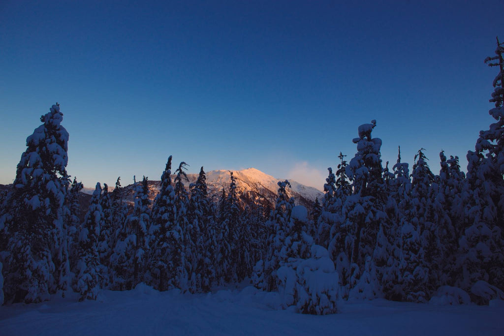 Snowshoe & Ski in the same day in Juneau, Alaska for Resolute Boutique & Lifestyle