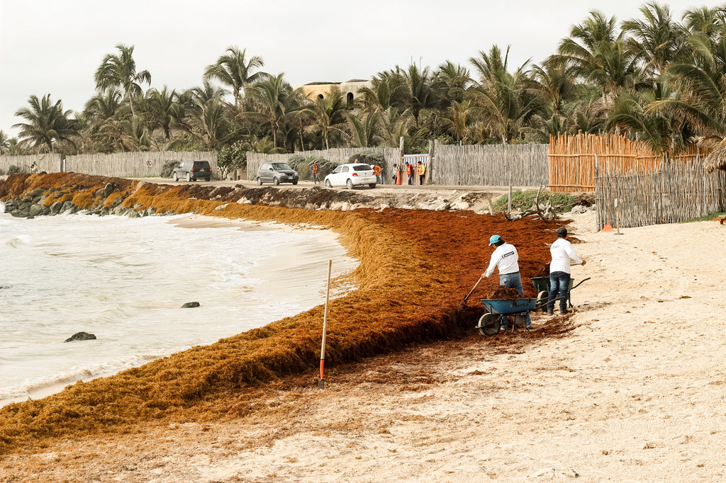 Tulum on a whim by Resolute Boutique, travel guide