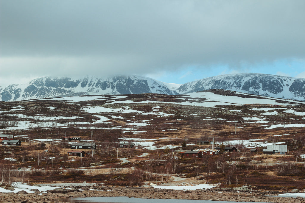 Train from Bergen to Oslo, Norway