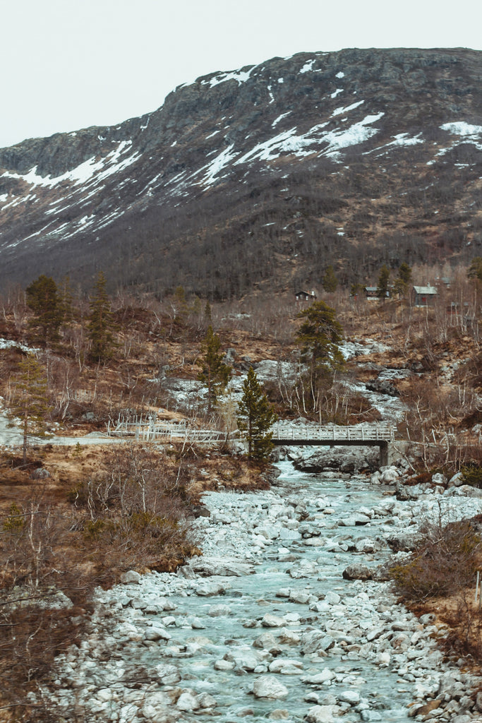 Train from Bergen to Oslo, Norway