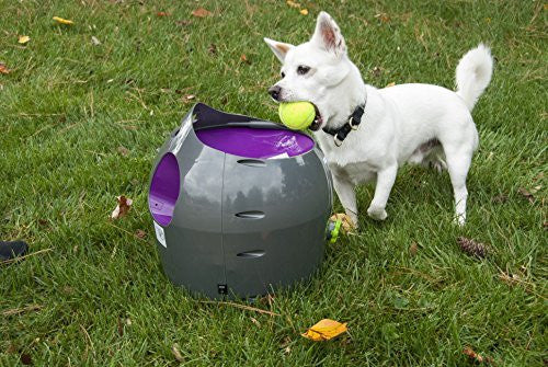 pet ball launcher