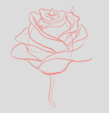 How To Draw A Rose - Drawing A Rose Step By Step - Finishing The Details Of The Rose