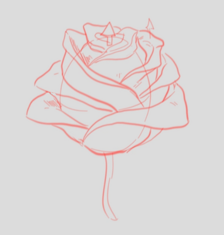 How To Draw A Rose - Drawing A Rose Step By Step - Rose Drawing Finished
