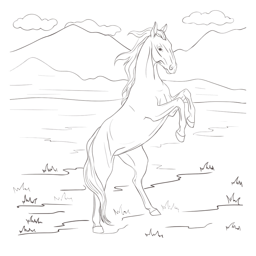 Horse Cartoon Drawing