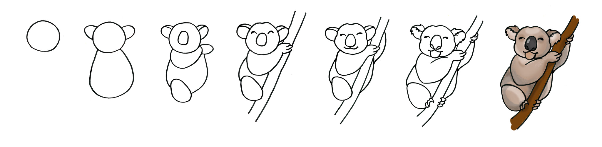 Koala Drawing - Step by Step