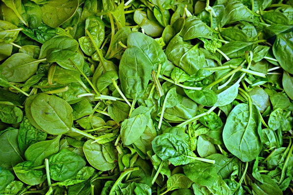 Fresh spinach leaves