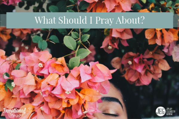 What Should I Pray About by Jim and Elizabeth George