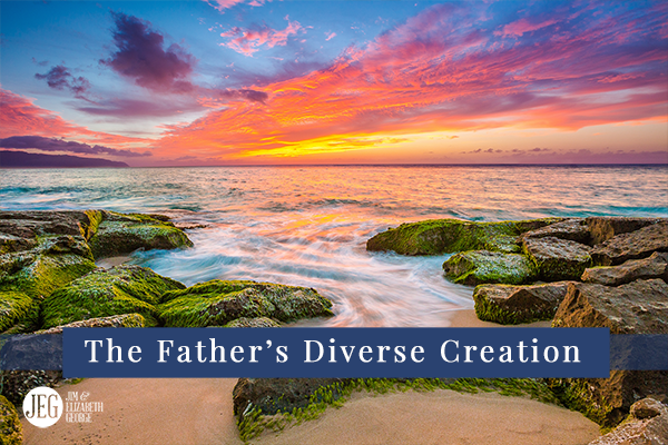 elizabeth-george the-fathers-diverse-creation