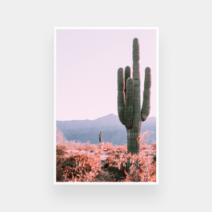 Pastel Cacti Print - Various sizes (7734900359417)