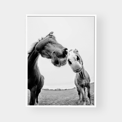 Friendly Pair Print - Various sizes (7688277852409)