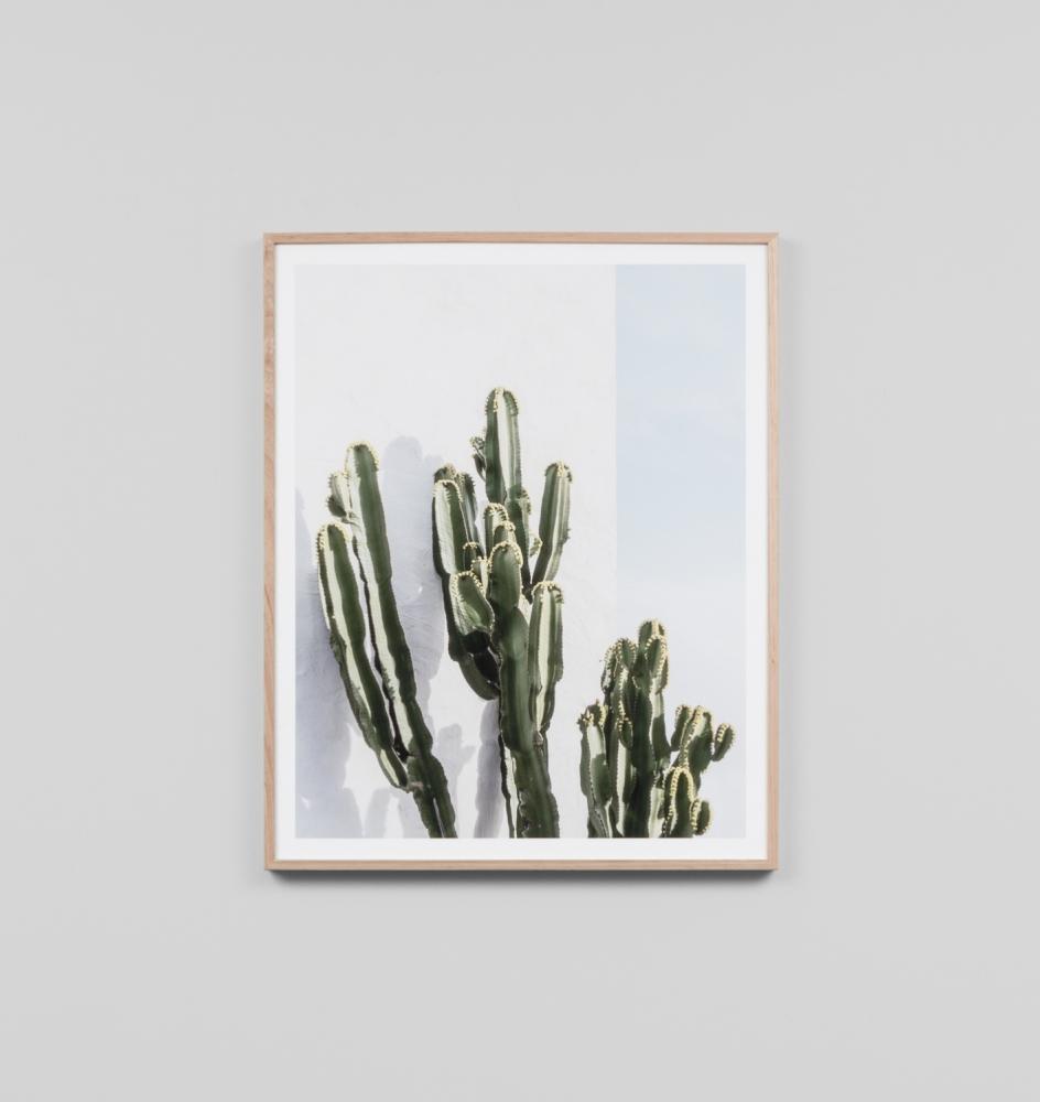Middle of Nowhere Cactus Resort Print - Norsu Interiors (4545508212820)