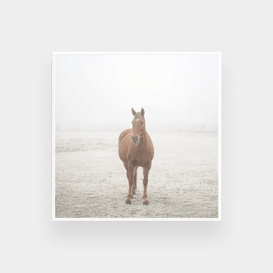 Misty Print, Square - Various sizes (7696946954489)