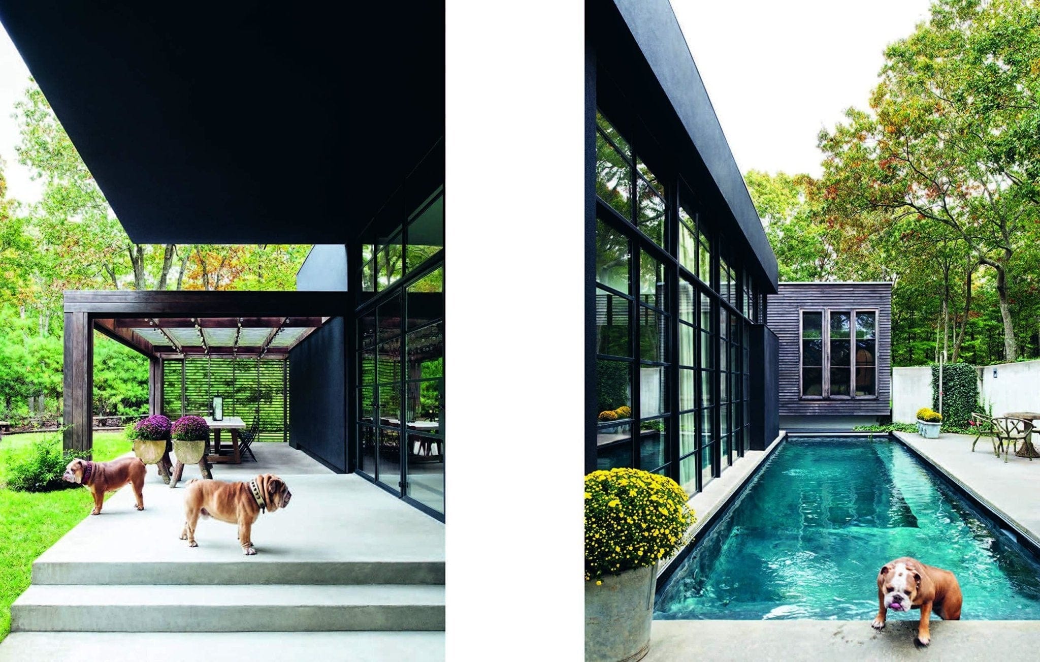 Resident Dog by Nicole England (Volume Two) - Norsu Interiors (6574639186108)