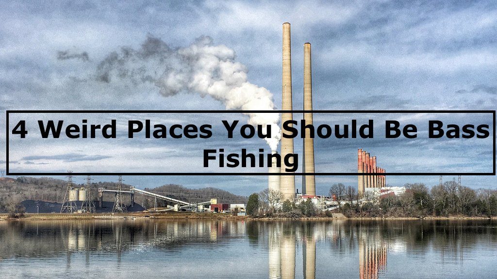 4 Weird Places You Should Be Bass Fishing