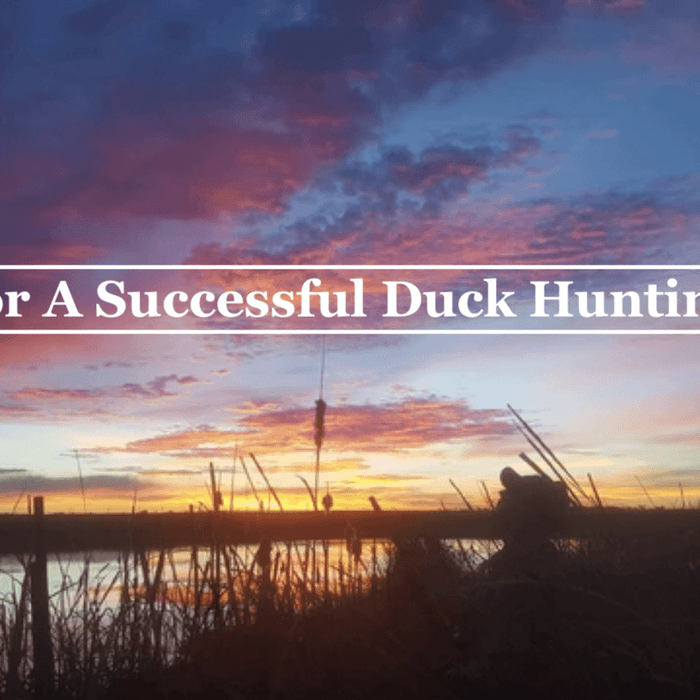 Guide For A Successful Duck Hunting Season