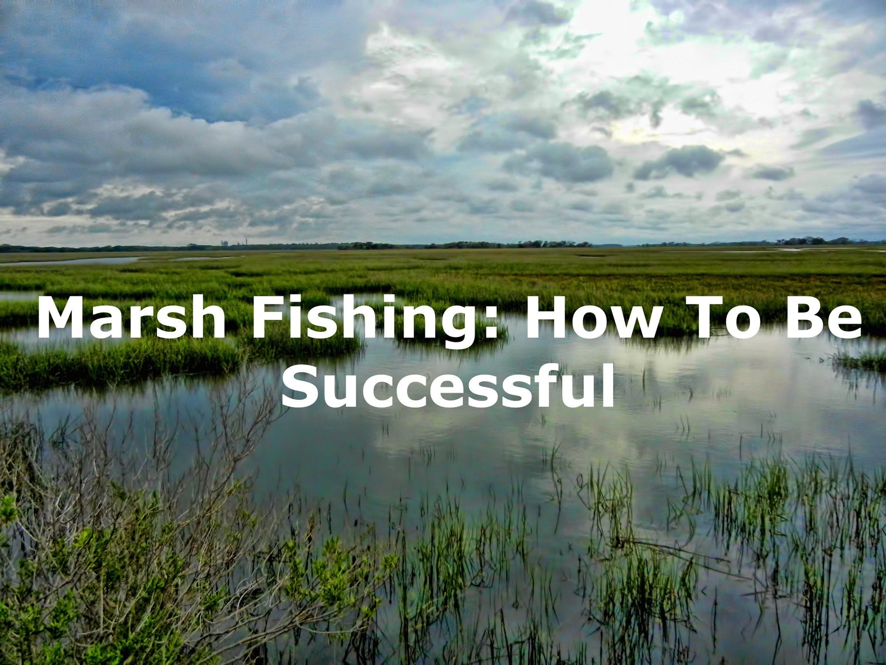 Marsh Fishing: How to be successful