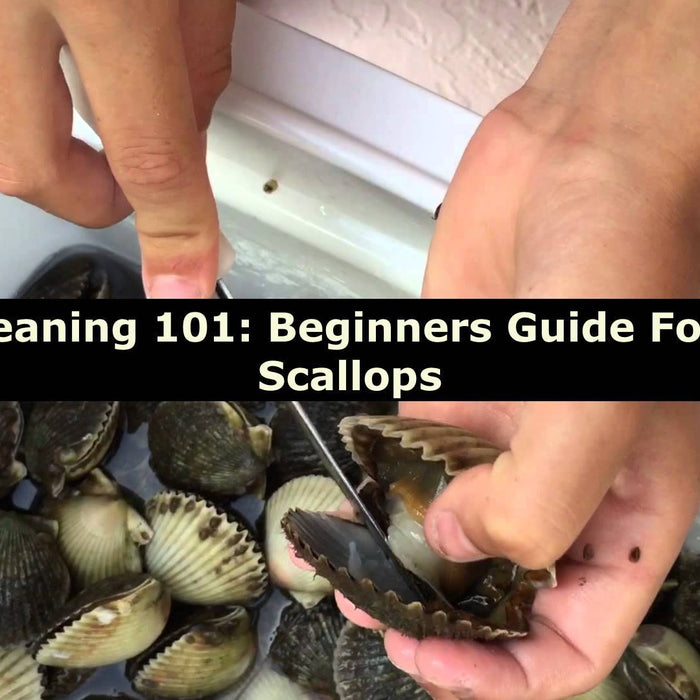 Scallop Cleaning 101