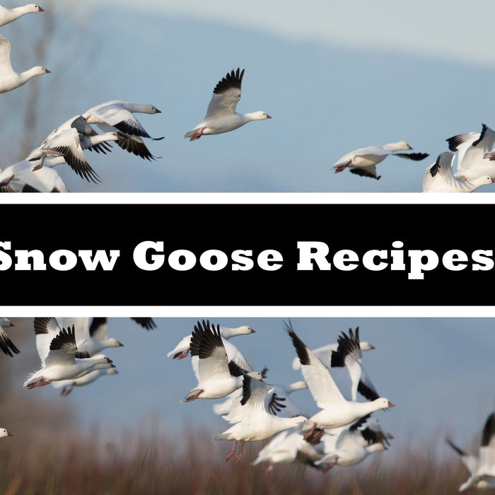 Snow Goose Recipes